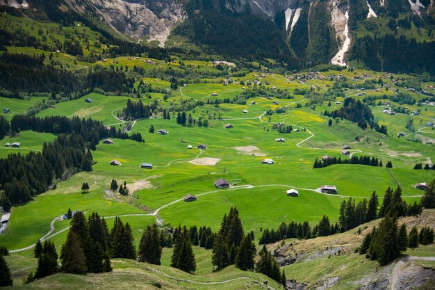 Mooi landschap van grindelwald, zwitserland