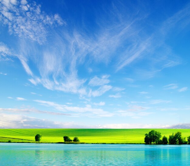 Mooi landschap van groen veld en blauwe hemel