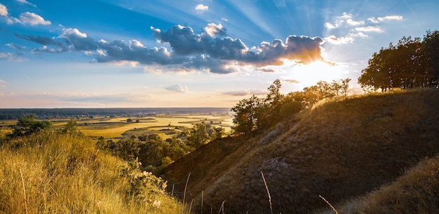 Mooi landschap van groene weiden en zomerbos