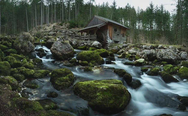 Foto mooi landschap van rivier en bos dichtbij een molen
