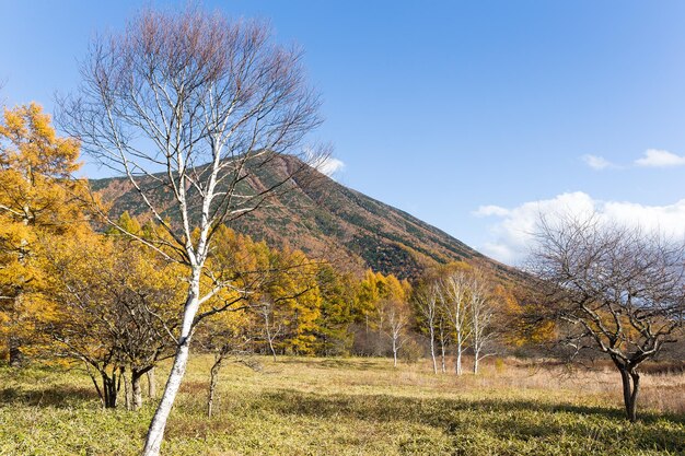 Mooi landschap