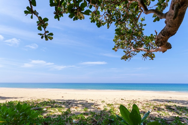 Mooi landschapslandschap van tropisch overzees en bladerenkader in phuket Thailand