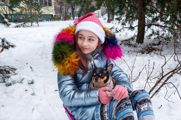 Mooi meisje met chihuahua over de aard. Een tiener die de sneeuwwinter van een hondchihuahua houdt