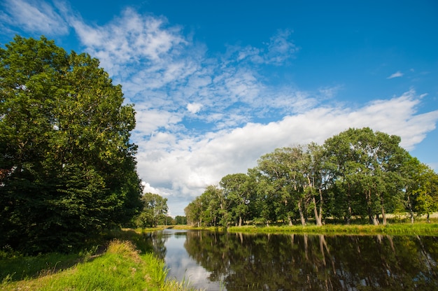 Mooi nog meer met bomen aan de horizon en witte gezwollen wolken aan de hemel. vreedzame zomerdag in het huisje. grote groene bomen op een meer