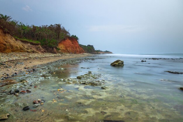 Mooi ochtend uitzicht indonesië Panorama Landschap rijstvelden met schoonheid kleur en hemel natuurlijk licht