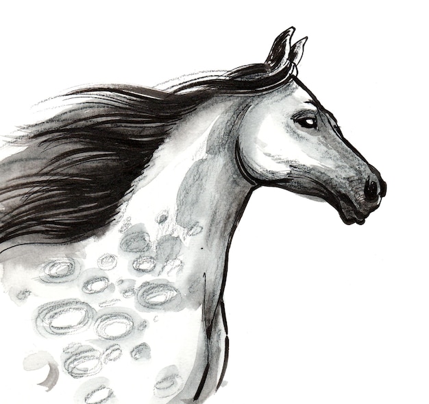 Mooi paardenhoofd. Inkt en aquarel tekenen