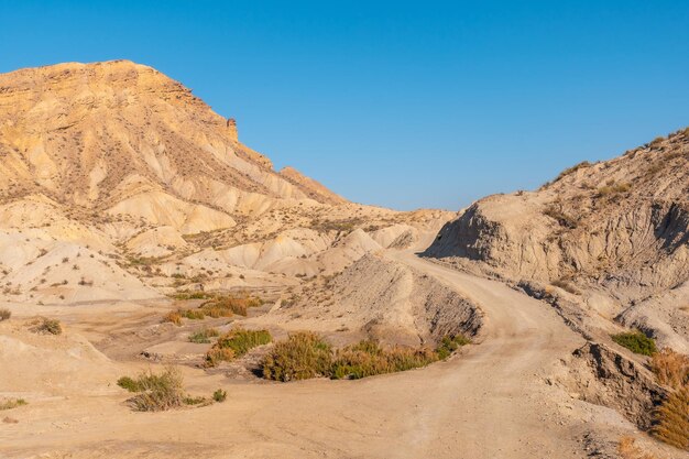 Mooi pad in de kloof op Rambla de Lanujar in de Tabernas-woestijn, provincie AlmerÃƒÂƒÃ‚Âa, Andalusië. Trekking in de woestijn, levensstijl