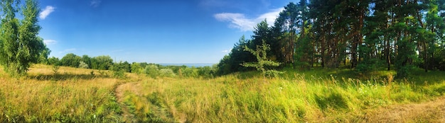 Mooi panorama van weiland en bosrand in de buurt van de oever van het kaniv-reservoir, oekraïne