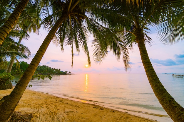 Mooi paradijseiland met strand en zee rond kokosnotenpalm