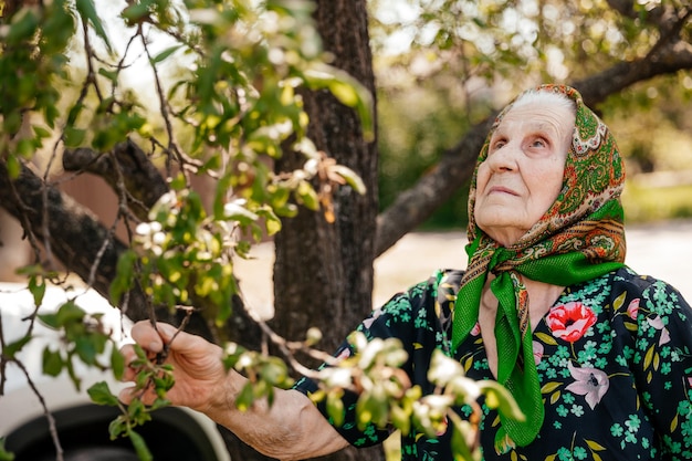 Mooi portret van een oudere vrouw gekleed in een badjas en sjaal die poseert voor een foto bij een oude boom in haar tuin