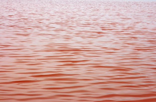 Foto mooi rood water en zout van het meer namibië, afrika