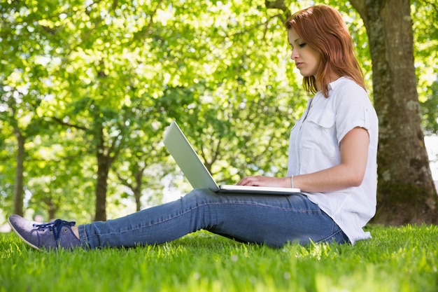 Mooi roodharige die haar laptop in het park met behulp van