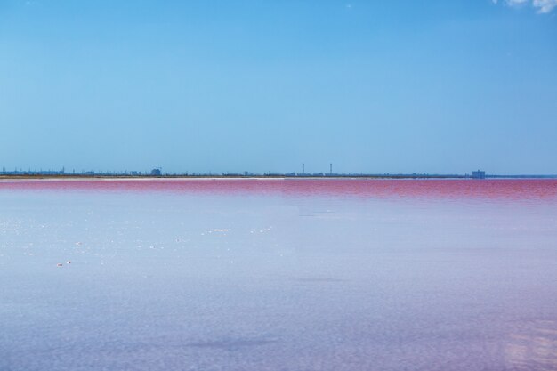 Mooi roze meer op een zonnige dag