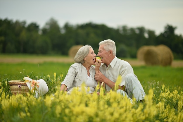 Mooi senior koppel in een zomerveld