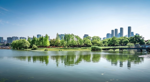 Foto mooi stadspark aan het meer