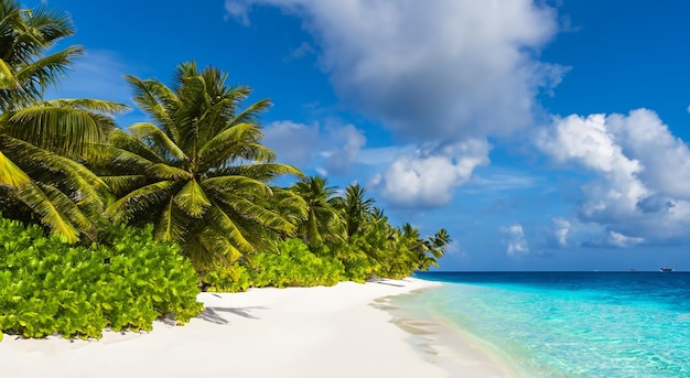 Mooi strand met kristalhelder water naast het zand in de zomer