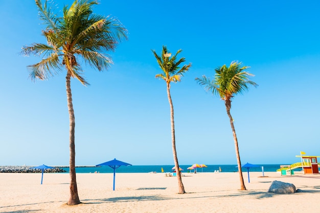 Mooi strand met wit zand en palmen in Dybai Verenigde Arabische Emiraten