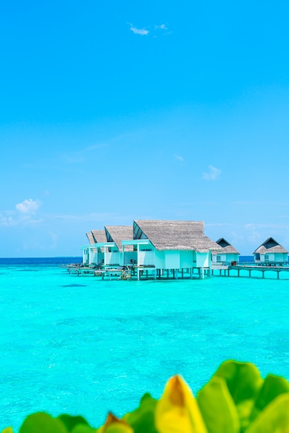 Mooi tropisch de toevluchthotel en eiland van de Maldiven met strand en overzees