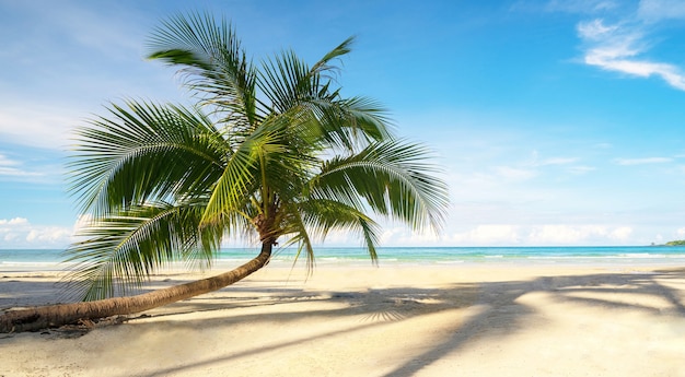 Mooi tropisch strand en overzees met kokosnotenpalm onder blauwe hemel