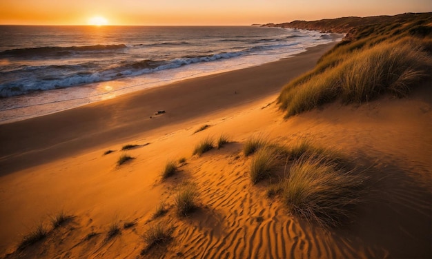 Mooi tropisch strand met wit zand.