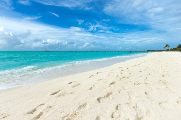 Mooi tropisch strand van de Maldiven met blauwe hemel