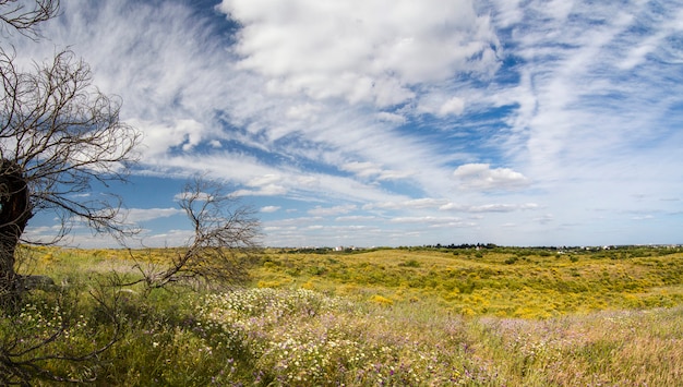 Mooi uitzicht op het landelijke platteland van de Algarve.