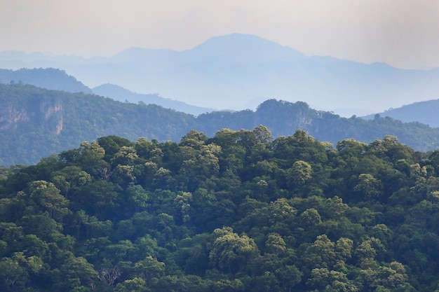 Mooi van de bergen in het Nationale park van Khao Yai, Thailand