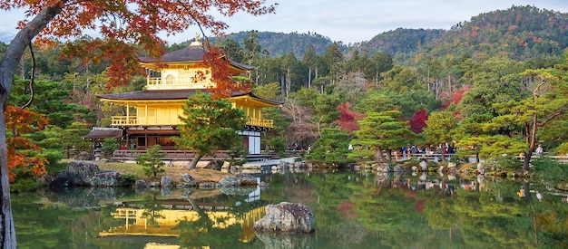 Mooi van de kinkakuji-tempel of het gouden paviljoen in het herfstgebladerte seizoensoriëntatiepunt en beroemd om toeristische attracties in kyoto kansai, japan