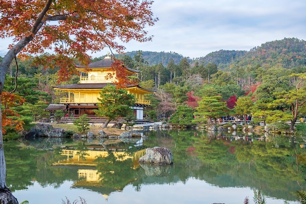 Mooi van de kinkakuji-tempel of het gouden paviljoen in het herfstgebladerte seizoensoriëntatiepunt en beroemd om toeristische attracties in kyoto kansai, japan