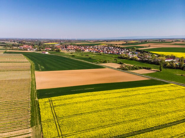 Mooi veld van geel koolzaad van boven Groene velden Druivenvelden Een klein Duits dorp