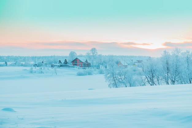 Mooi winterlandschap met met sneeuw bedekte bomen en huizen