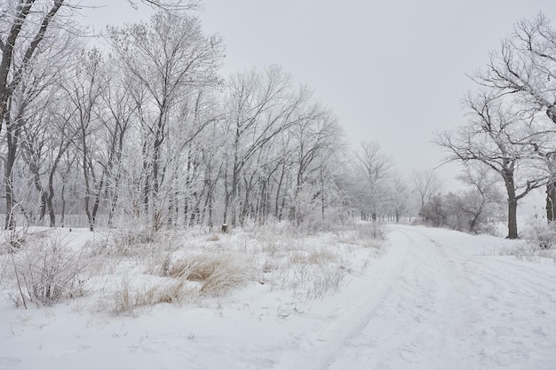 Mooi winterlandschap