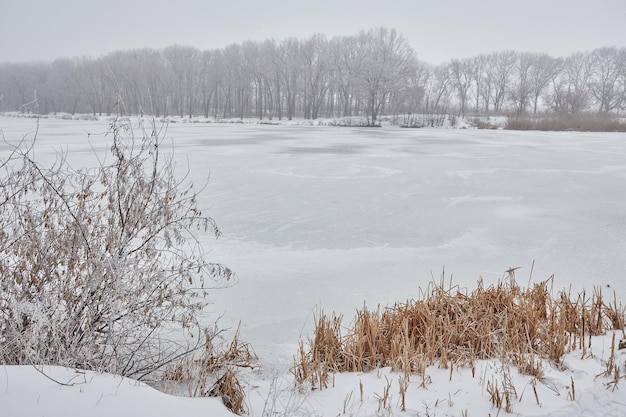 Mooi winterlandschap