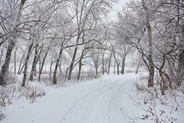 Mooi winterlandschap