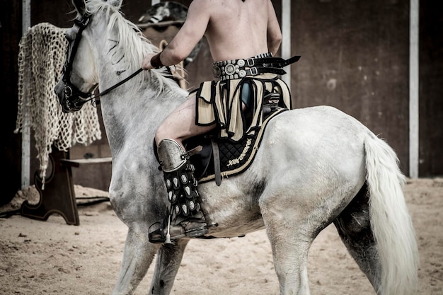 Mooi wit paard, Romeinse strijdwagen in een gevecht van gladiatoren, bloedig circus