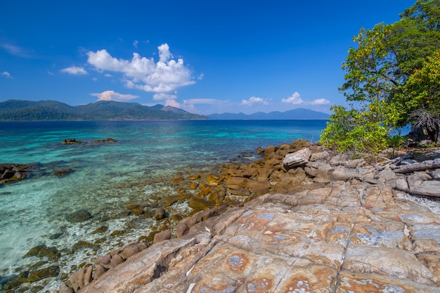 Mooi wit zandstrand met boom bij tropische overzees in lipeeiland Thailand