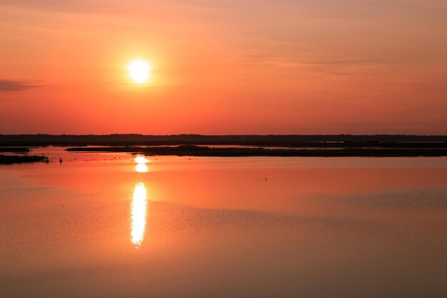 Mooi zomerlandschap de dageraad op het meer