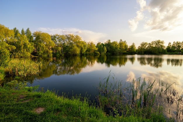 Mooi zomers landschap dichtbij het meer