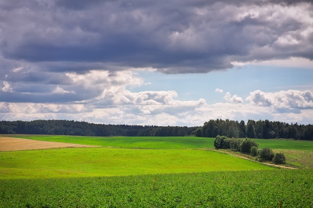 Mooi zomers landschap met groen gras, weg en wolken