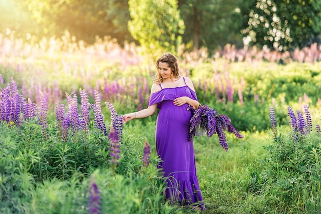 Mooi zwanger meisje in een paarse jurk plukt bloemen in een veld met lupines Een vrouw met een boeket paarse bloemen