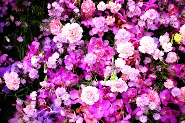 Mooie aard Pinks bloem in aardtuin.