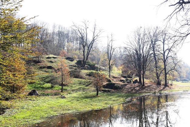 Foto mooie aardachtergrond