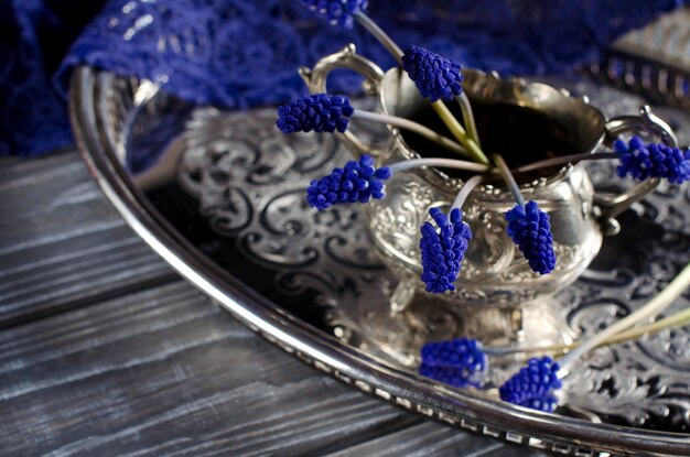 Mooie achtergrond met Muscari Blauwe lentebloemen The old grey Board old silver