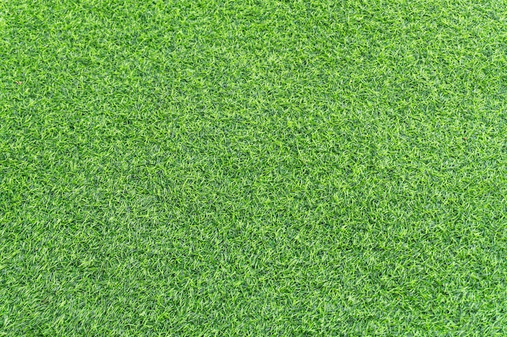 Foto mooie achtergrond van groen gras