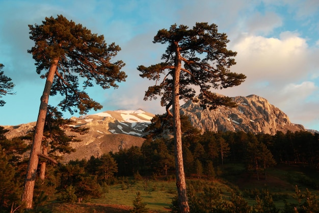 Mooie achtergrondafbeelding van het berglandschap