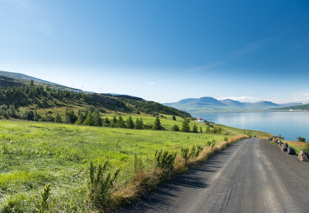 Mooie Akureyri in IJsland in de zomer