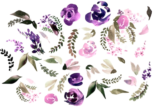 Mooie aquarel set met roze pioen bloemen en bladeren illustratie