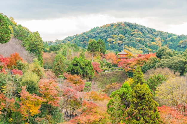 Foto mooie architectuur in kiyomizu-dera tempel kyoto ,.