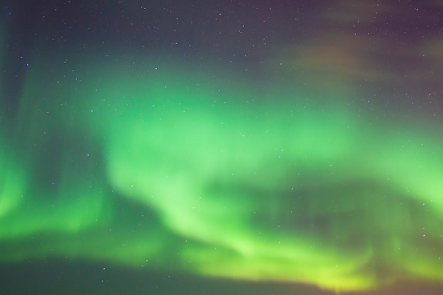 Mooie aurora boreal in Lofoten-eilanden