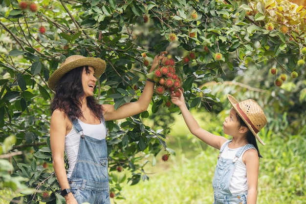 Mooie aziatische moeder en dochter bij landbouwfruittuin van ramboetan. vakantie mensen reizen natuur concept.